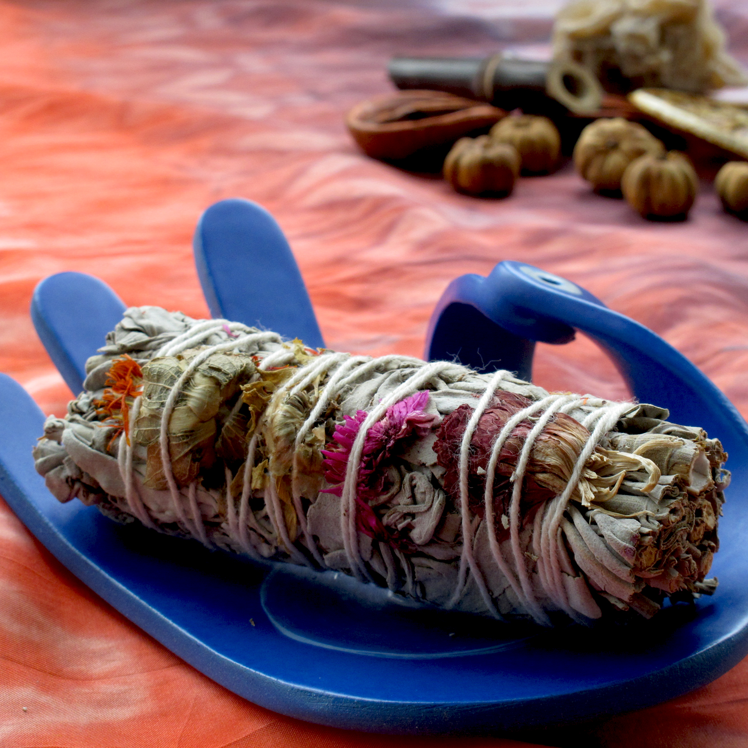 Снопче бяла салвия с цветя – Native Joy Sage 10 см