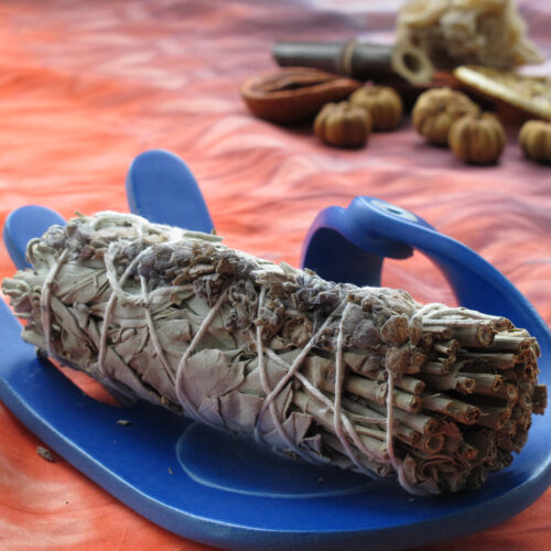 Снопче бяла салвия с лавандула – 10 см