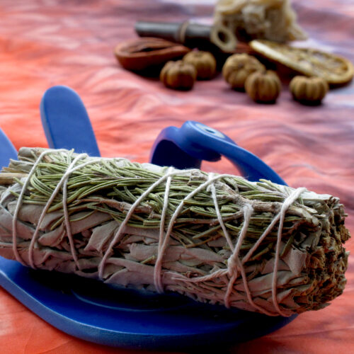 Снопче бяла салвия с розмарин – 10 см